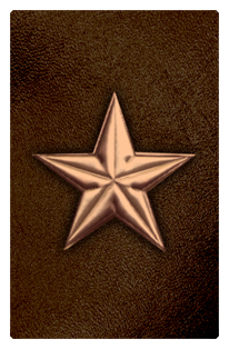 DF35T 430 BZ BR Star Bronze Brown